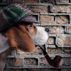 Einzelausgaben aus "Charming Moments Vol. 2" Detective Schneider (PDF-Ausgabe)