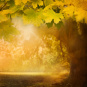 morepic-1