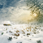 morepic-1