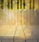 morepic-1