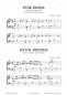 morepic-5