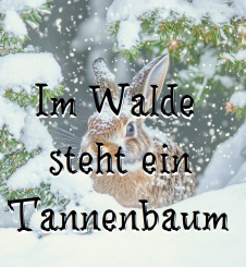 "Im Walde steht ein Tannenbaum" Klavier solo & Begleitung (PDF) 