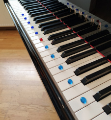 Sicher Noten lesen - Linientöne markieren 